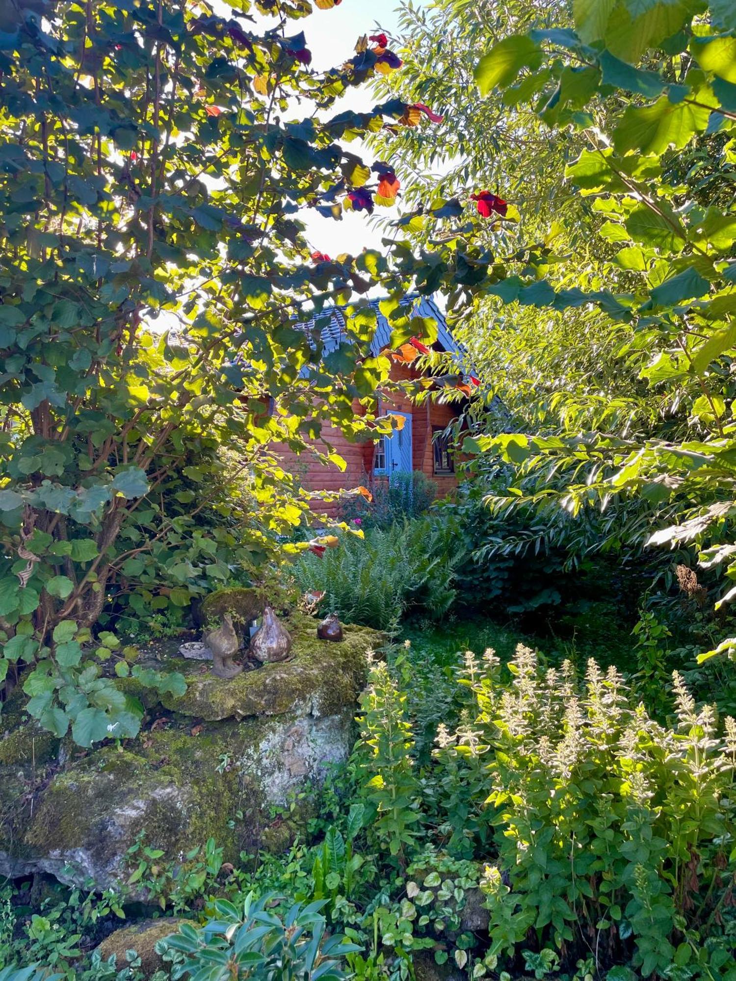 Ferienhaus Thelen Hersdorf エクステリア 写真